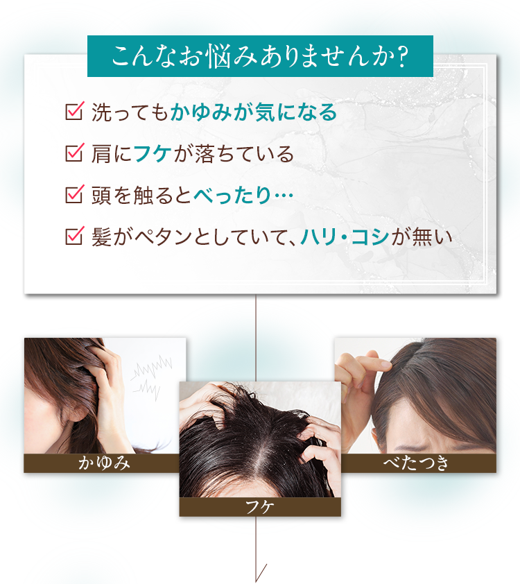 こんなお悩みありませんか？・洗ってもかゆみが気になる・肩にフケが落ちている・頭を触るとべったり…・髪がペタンとしていて、ハリ・コシが無い
