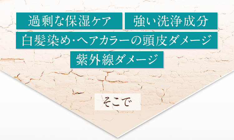 「過剰な保湿ケア」「強い洗浄成分」「白髪染め・ヘアカラーの頭皮ダメージ」「紫外線ダメージ」そこで！