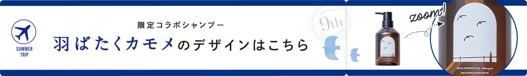 限定コラボシャンプー、カモメのデザインはこちら