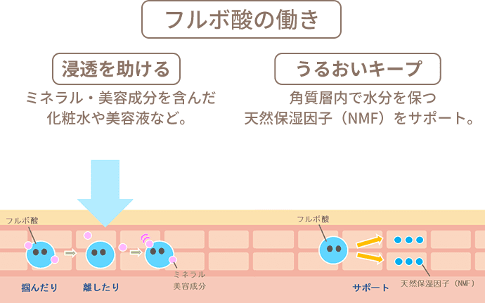 フルボ酸の働き