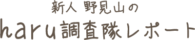 新人野見山のharu調査隊レポート