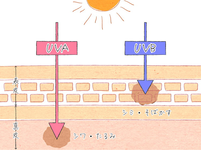 そもそも紫外線とは？