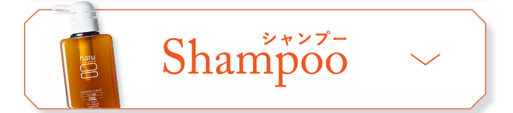 シャンプー