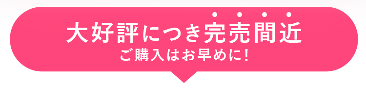 大好評につき完売間近 ご購入はお早めに！