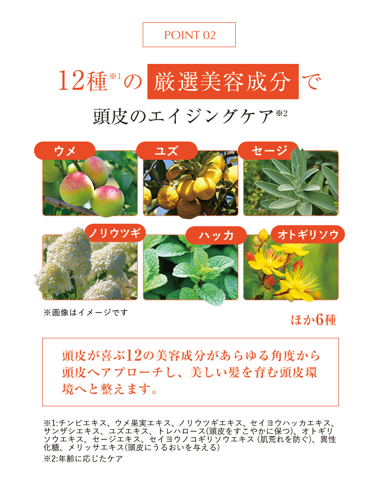 POINT02 12種の厳選美容成分で頭皮のエイジングケア