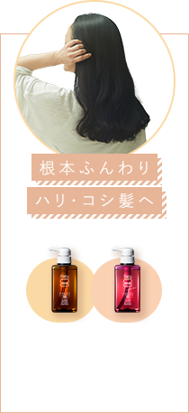 根本ふんわりハリ・コシ髪へ
