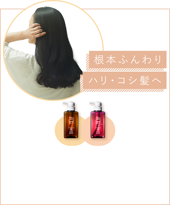 根本ふんわりハリ・コシ髪へ