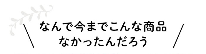 なんで今までこんな商品なかったんだろう