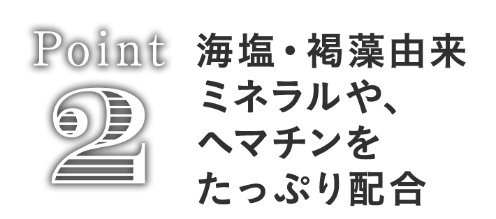 Point2 海塩・海藻由来ミネラルや、ヘマチンをたっぷり配合