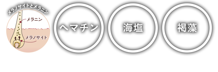 ヘマチン、海塩、褐藻