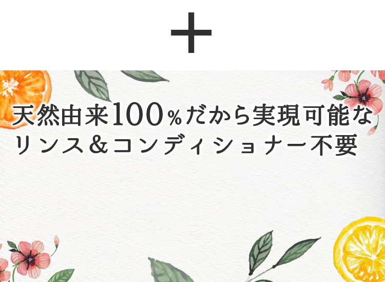 天然100％だから実現可能なリンス＆コンディショナー不要